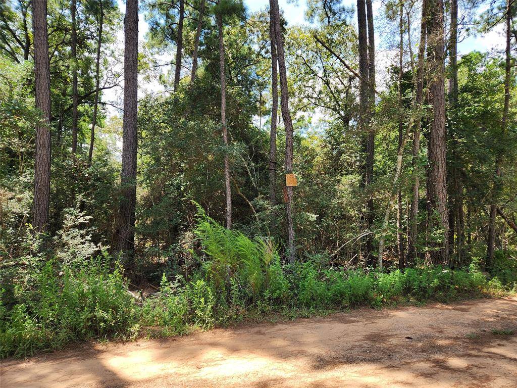 Plantersville, TX 77363,Lot 7 Smokethorn LN