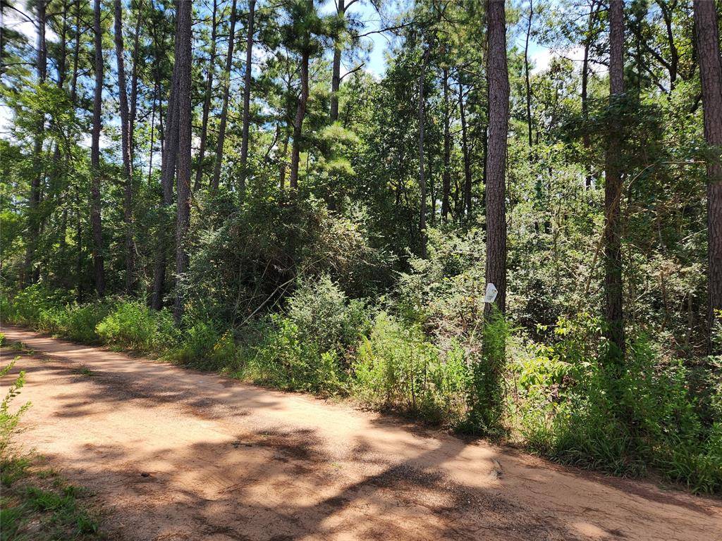 Plantersville, TX 77363,Lot 7 Smokethorn LN