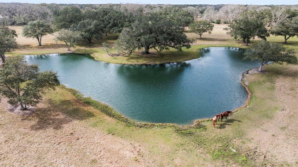 Angleton, TX 77515,1980 County Road 220