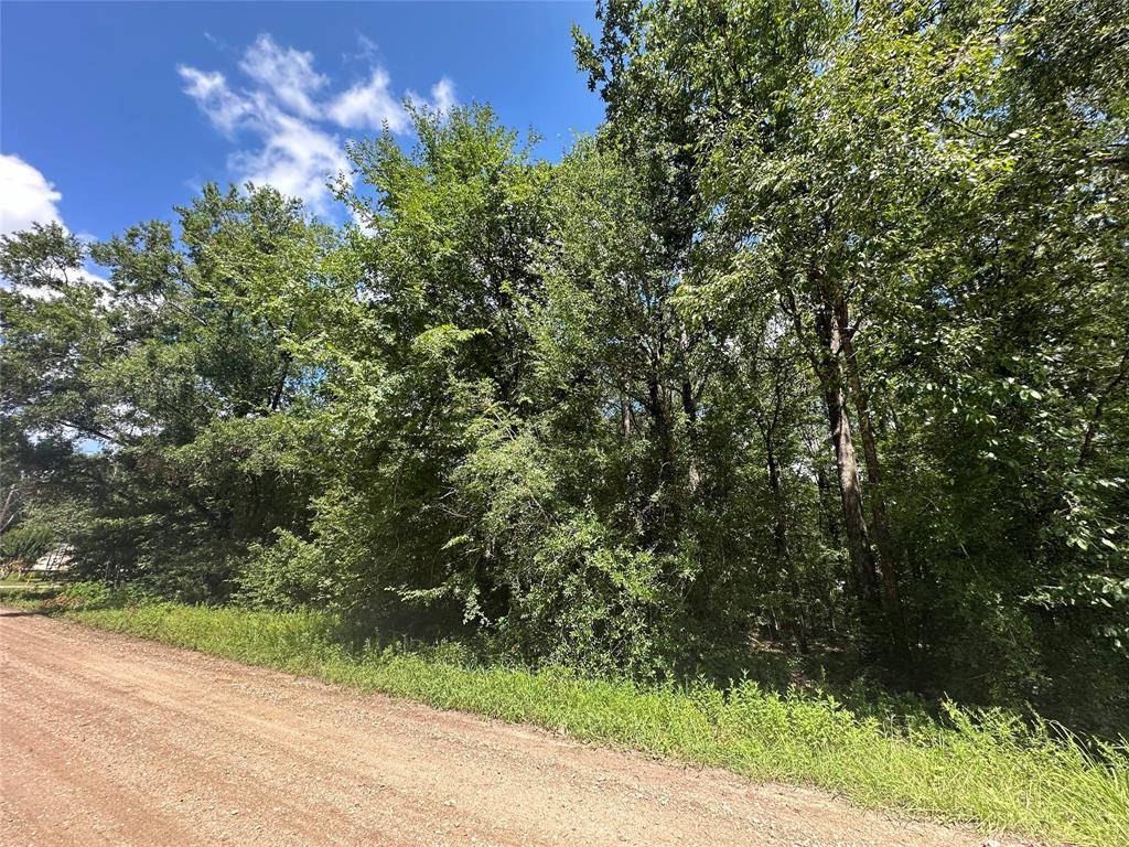 Livingston, TX 77351,TBD Cloverleaf LN