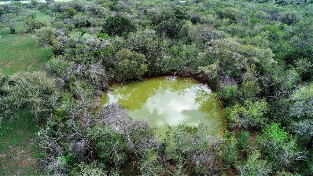 Cistern, TX 78959,3000 Father Anders LOOP