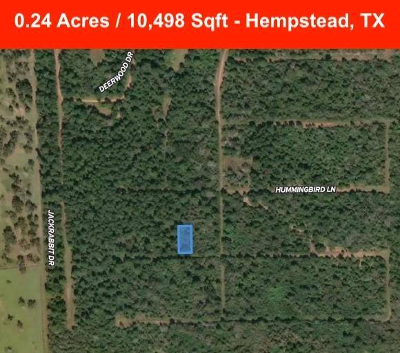 Hempstead, TX 77445,00 Falcon Ln