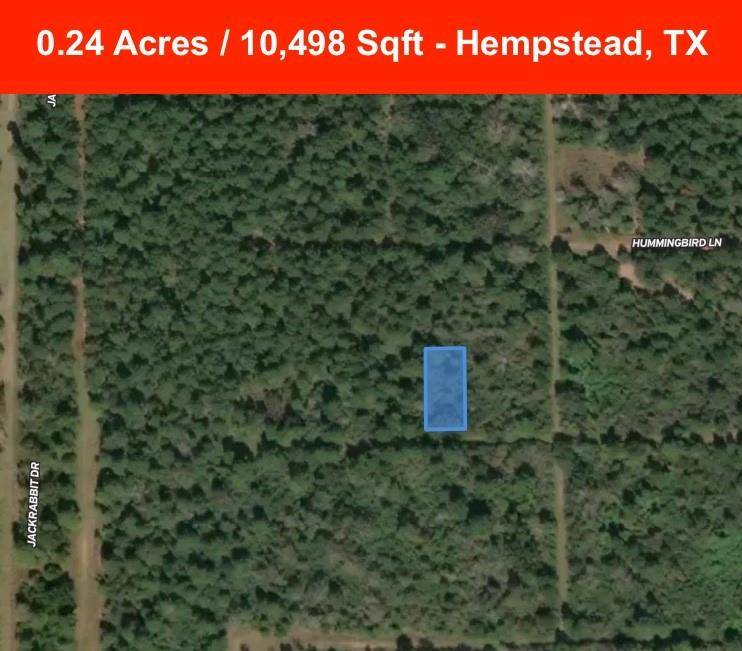 Hempstead, TX 77445,00 Falcon Ln