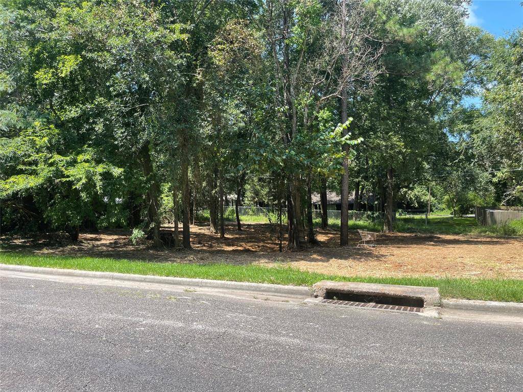 Livingston, TX 77351,Lot 21 Brinwood