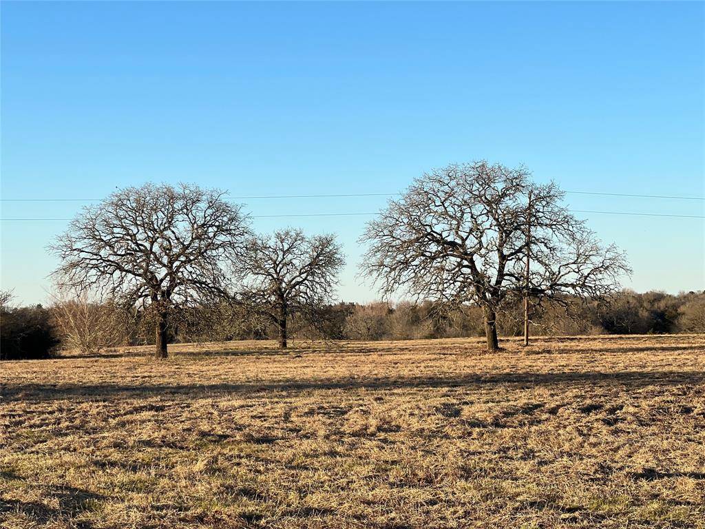 Lyons, TX 77863,TBD Farm Road 60 E