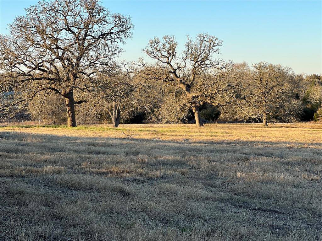 Lyons, TX 77863,TBD Farm Road 60 E