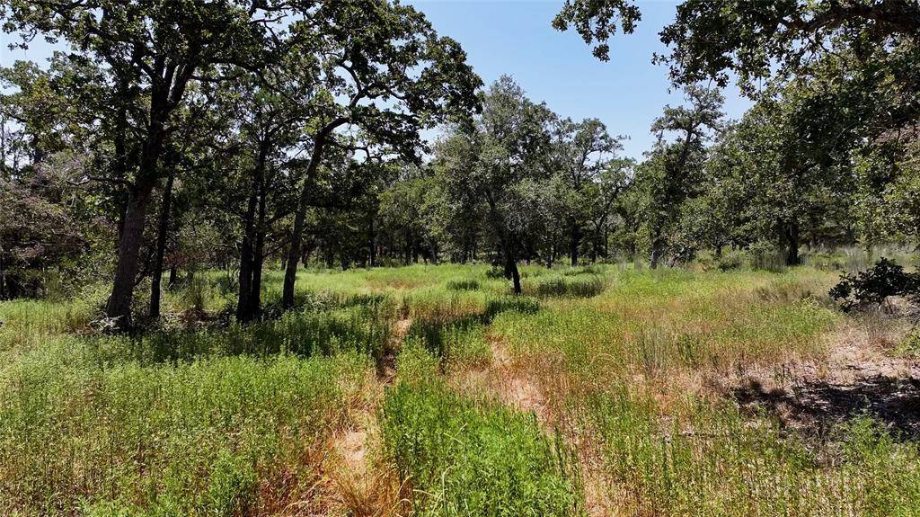 Round Top, TX 78954,000 Schulle RD