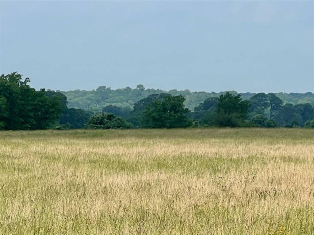 Columbus, TX 78934,38 acres Shaws Bend Rd