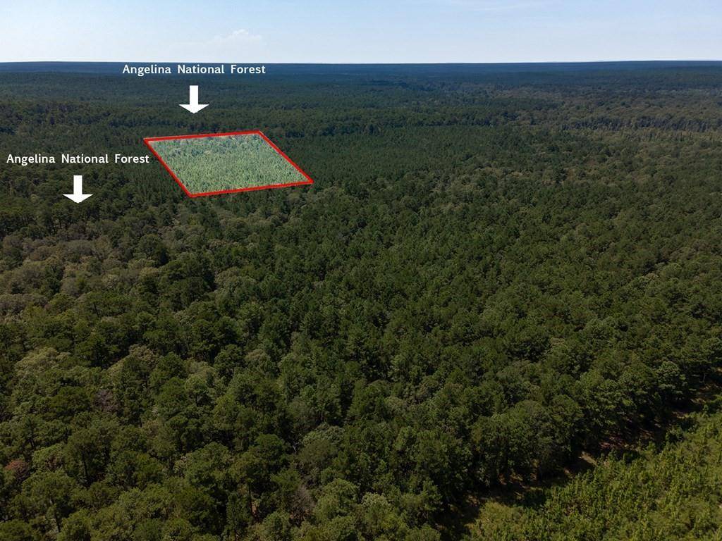 Zavalla, TX 75980,Tract 4.4 Frazier Road