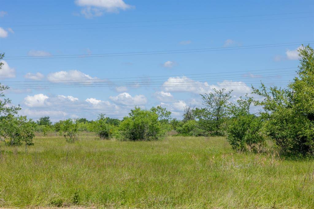 Bedias, TX 77831,6523 Atakapan Trail