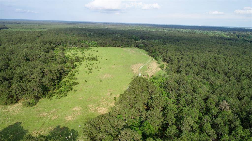 Sour Lake, TX 77659,0000 Old Beaumont RD