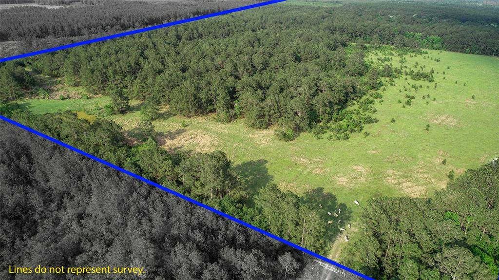 Sour Lake, TX 77659,0000 Old Beaumont RD