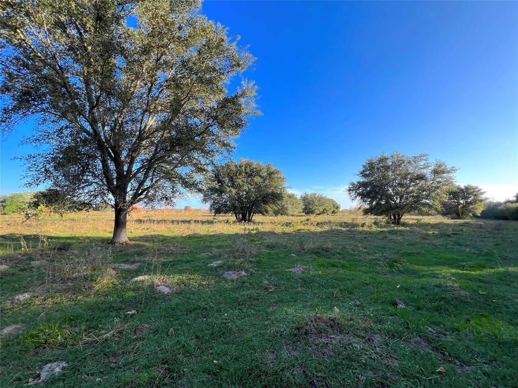 Damon, TX 77430,1 CR 18