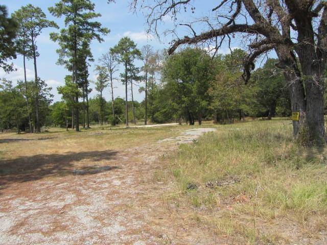 Huntsville, TX 77320,31,33, 35 Park Lane Land