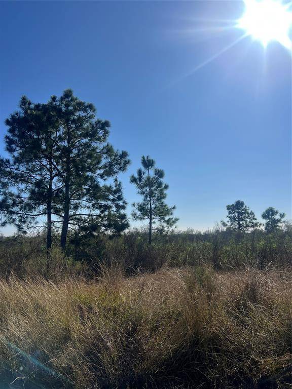 Guy, TX 77444,0 Barak Road RD