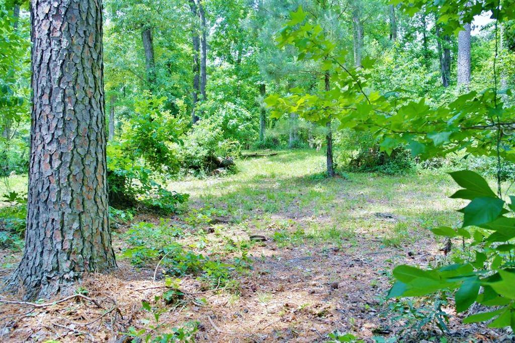 Coldspring, TX 77331,Lot 695 Lake Shore DR