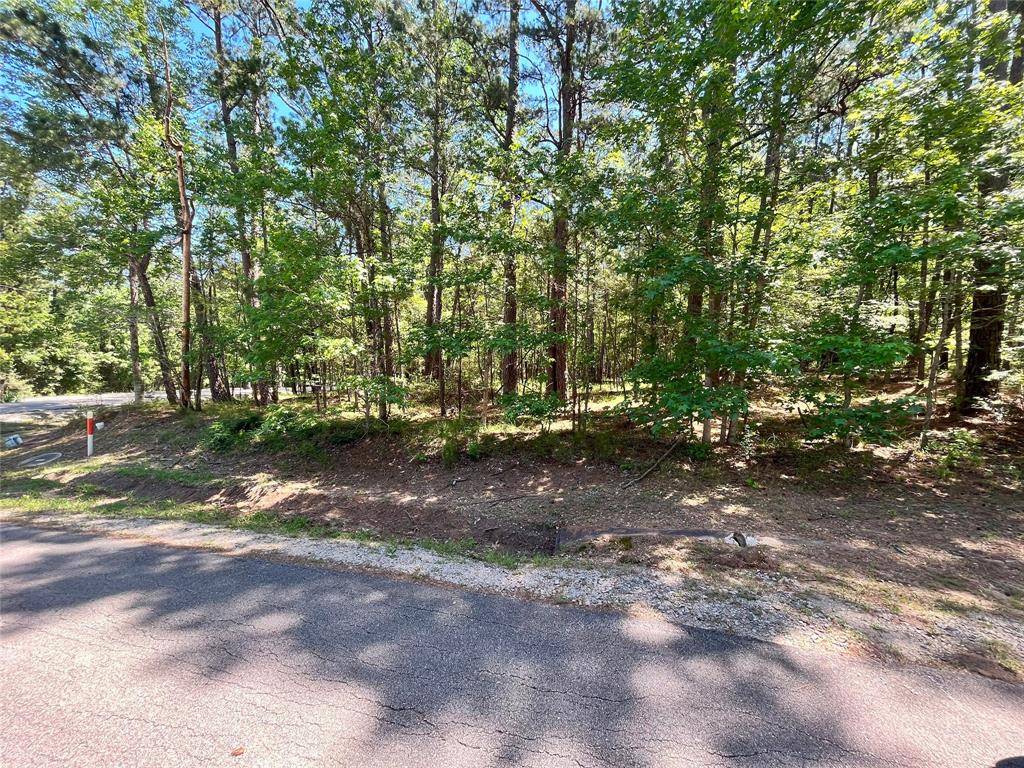 Coldspring, TX 77331,3 S Fairway LOOP