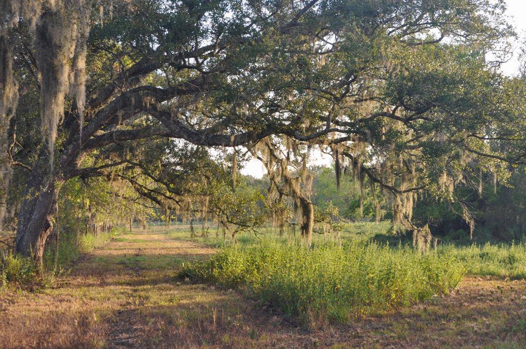 Brazoria, TX 77422,4261 County Road 506