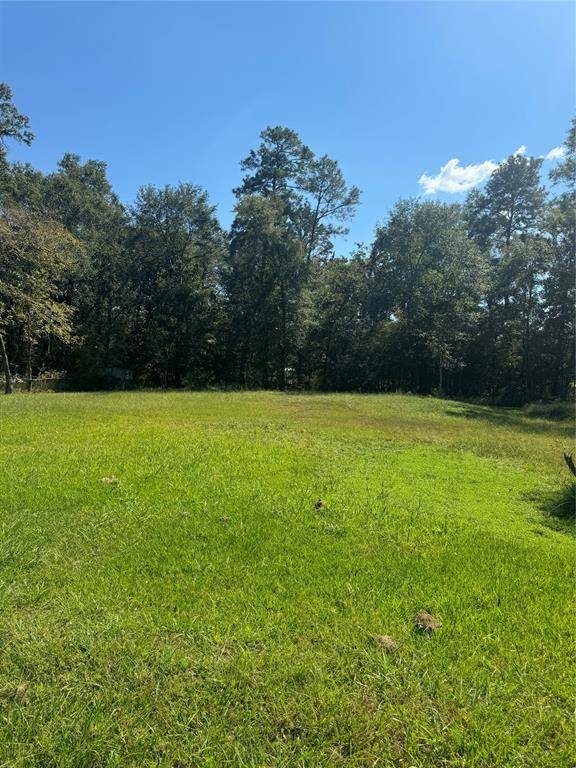 Willis, TX 77378,TBD Lot 17, 18 Frontier Rd