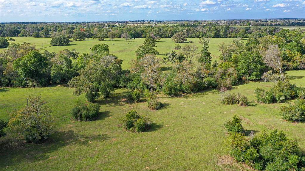 Bedias, TX 77831,30+/- Acres County Rd 140