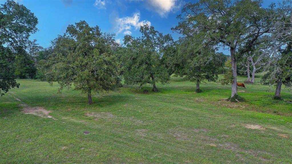 Bedias, TX 77831,30+/- Acres County Rd 140