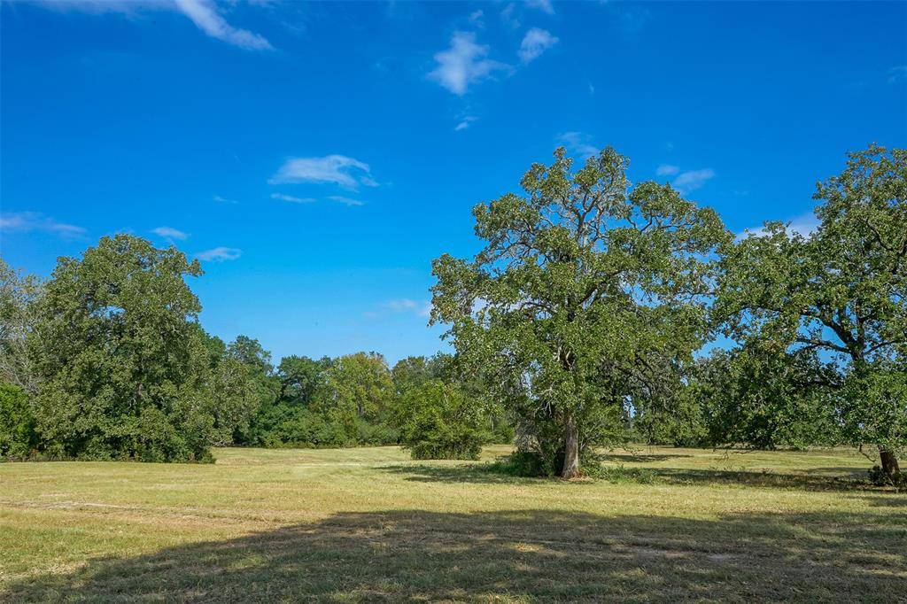 Bedias, TX 77831,30+/- Acres County Rd 140