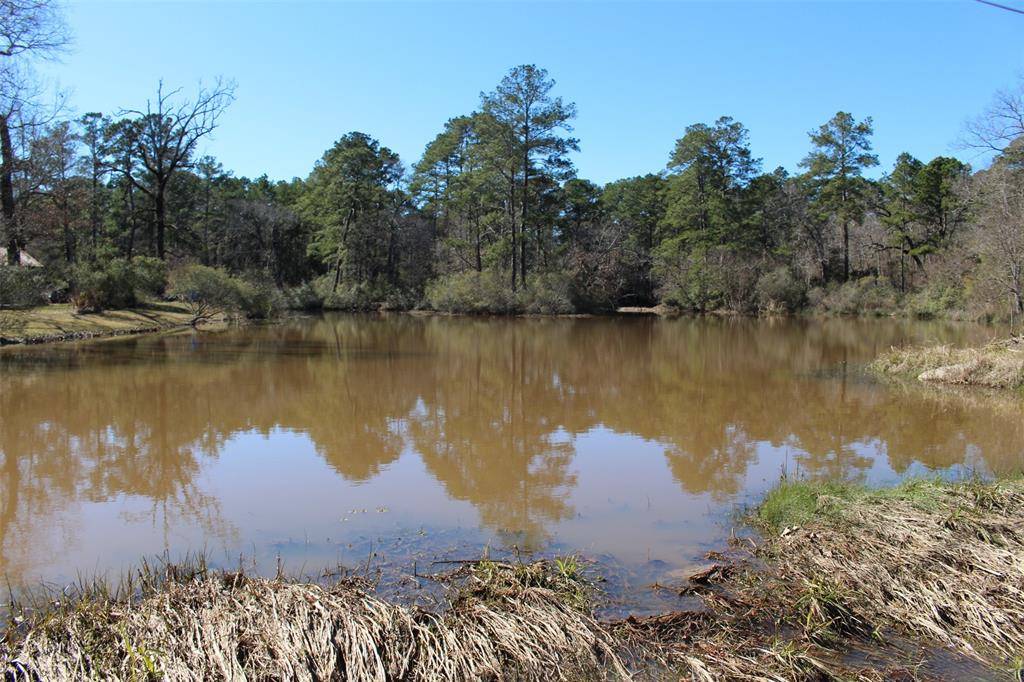 Trinity, TX 75862,Lots #38 & #40 Hideaway DR