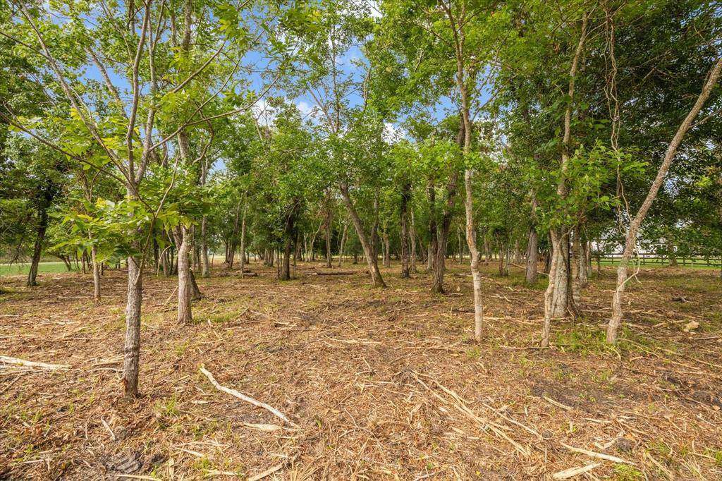 Richwood, TX 77515,3002 Bayou View CT