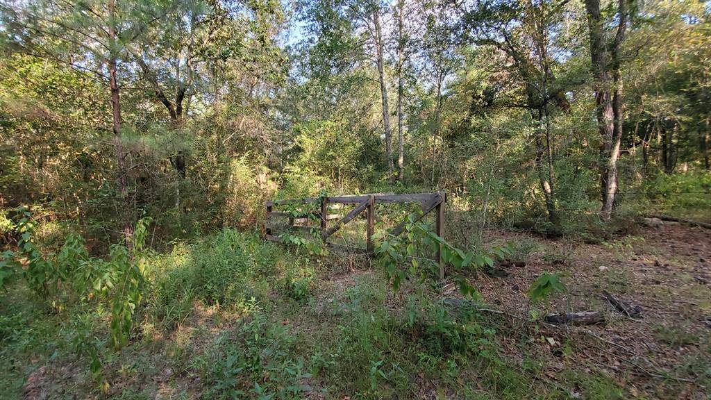 Richards, TX 77873,TBD-11A Mills LN