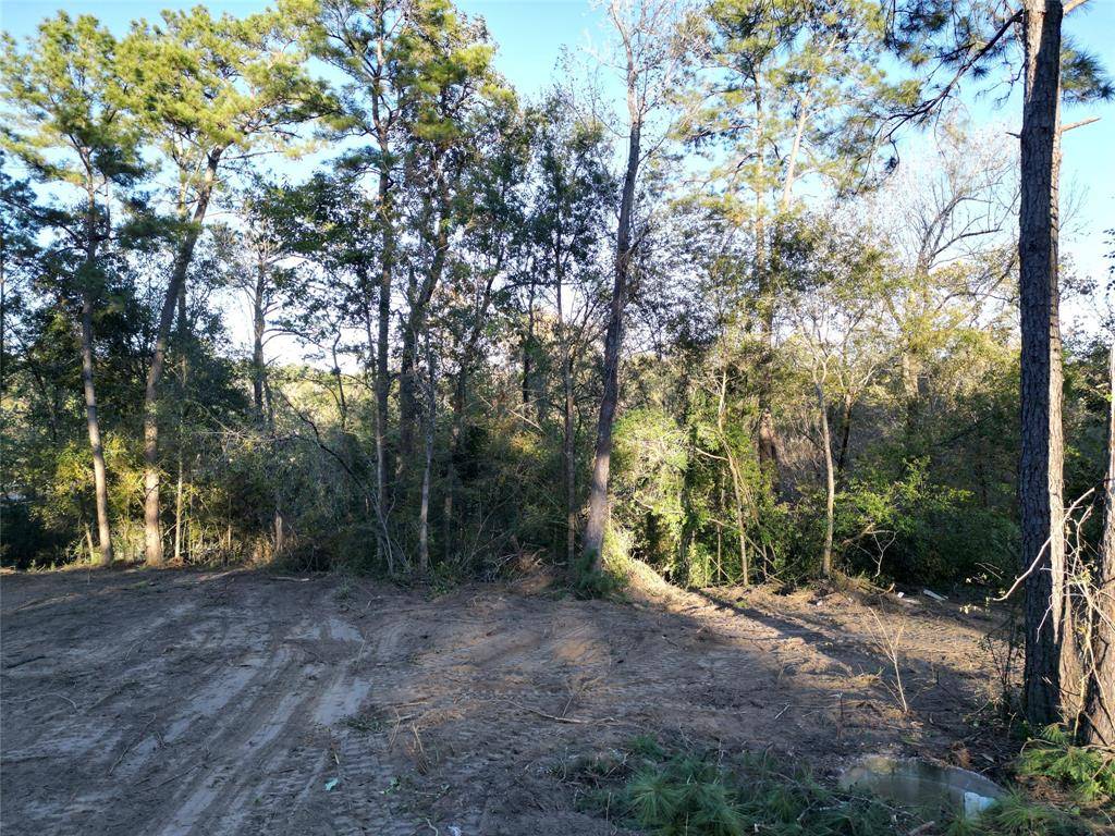 Conroe, TX 77303,12604 Rollingwood Loop