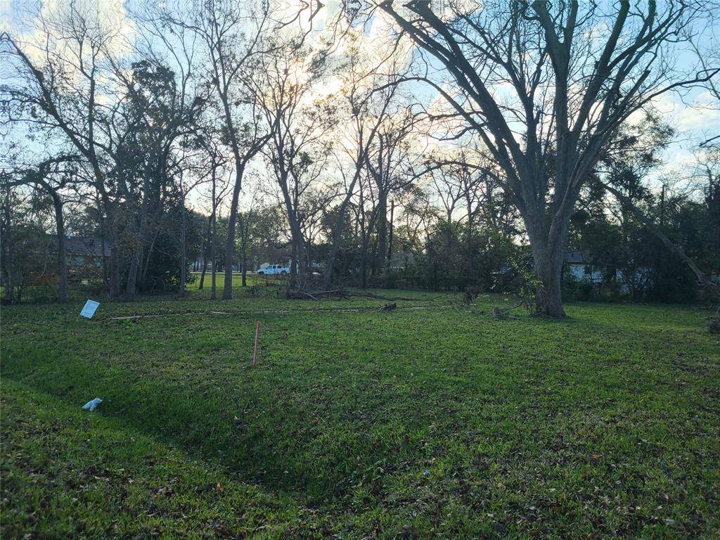Alvin, TX 77511,0 W Lobbit ST