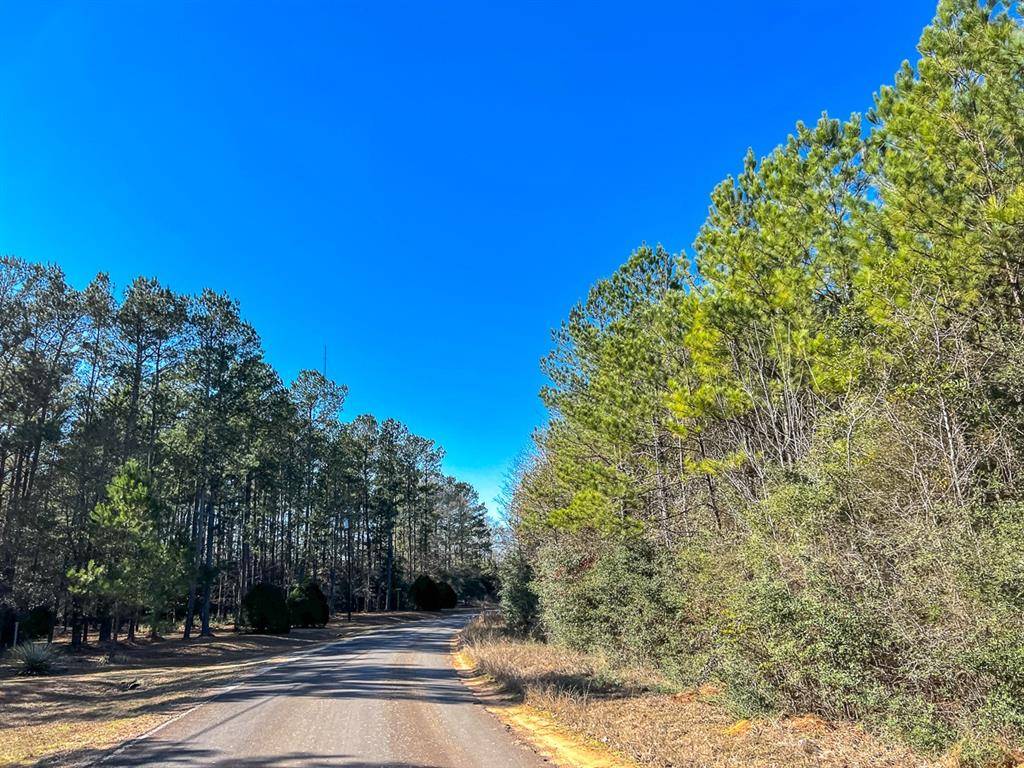 Livingston, TX 77351,010 Nettles Cemetery Road