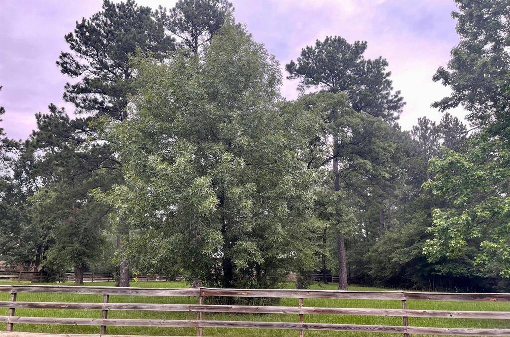 Magnolia, TX 77355,37812 Clubhouse LN