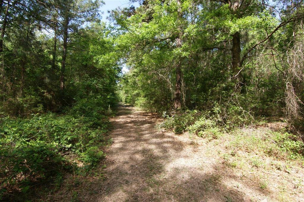 Roman Forest, TX 77357,TBD ROMAN FOREST BLVD