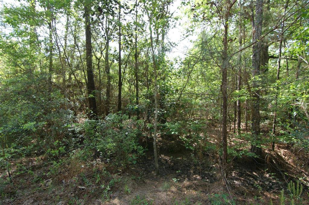 Roman Forest, TX 77357,TBD ROMAN FOREST BLVD