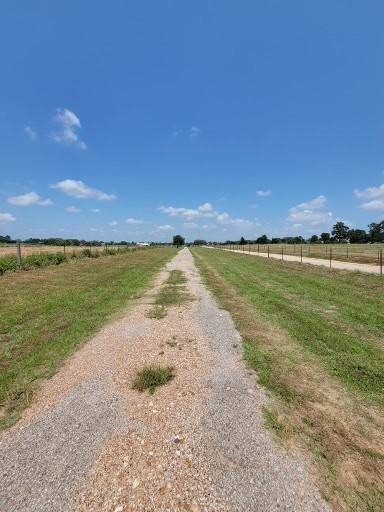 Hempstead, TX 77445,36677 TRACT 6 Brumlow RD