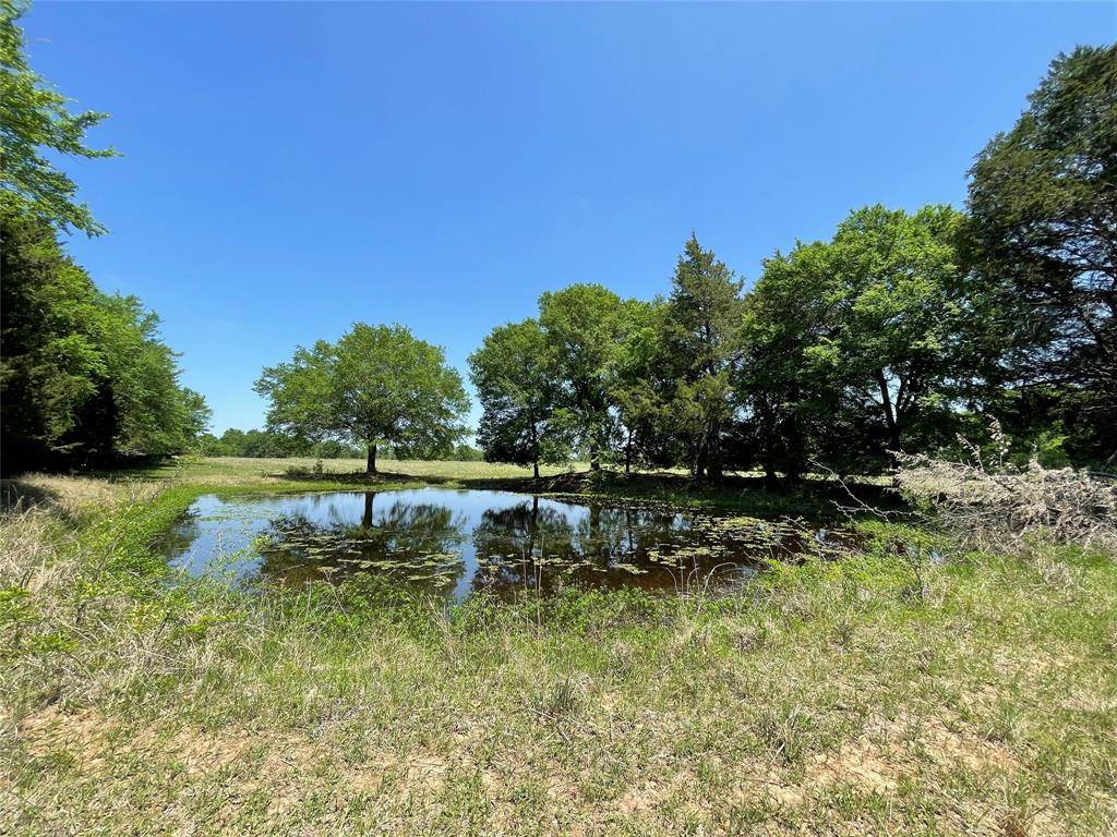 Fairfield, TX 75840,TBD Tract 3 6 Acres FCR 510