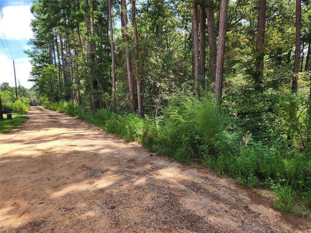 Plantersville, TX 77363,Lot 8 Smokethorn LN