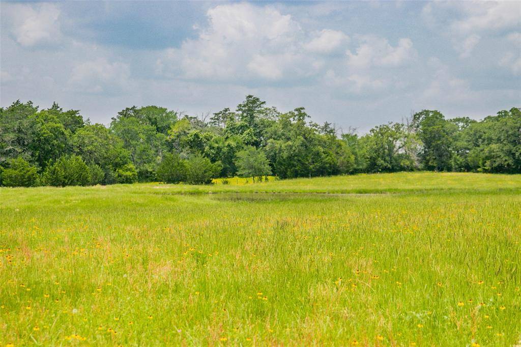 Somerville, TX 77879,Lot 31 (5.42 Acres) Legacy RD