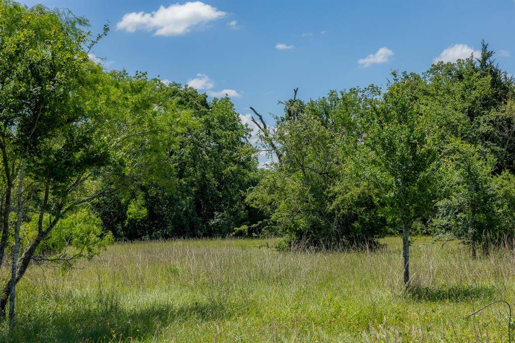 Bedias, TX 77831,6558 Atakapan Trail