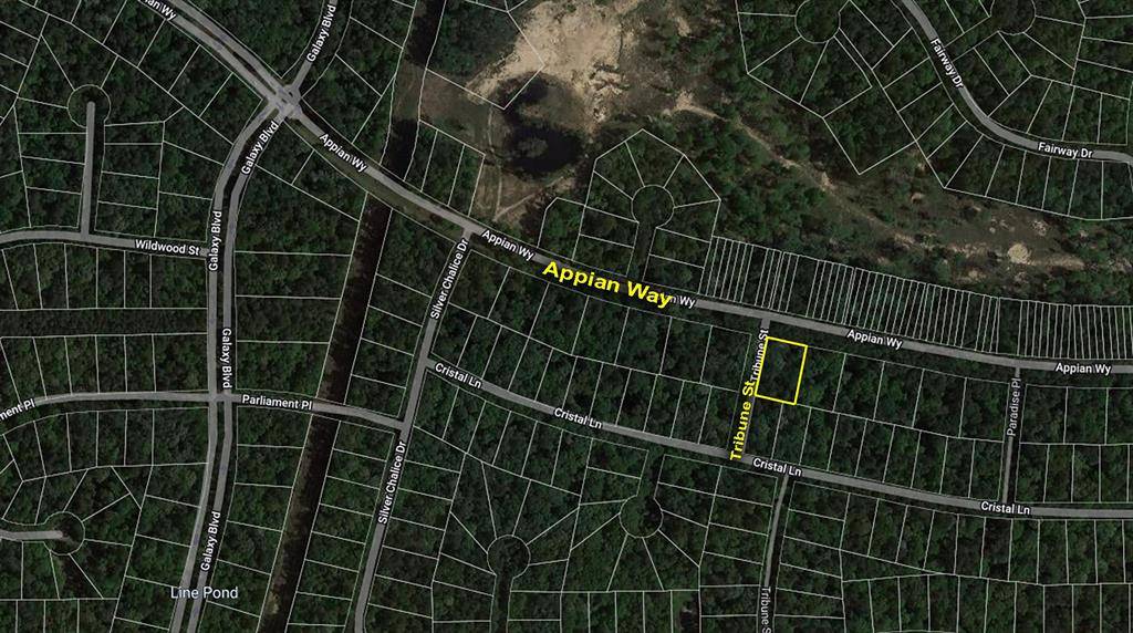 New Caney, TX 77357,Lot 1 Appian WAY