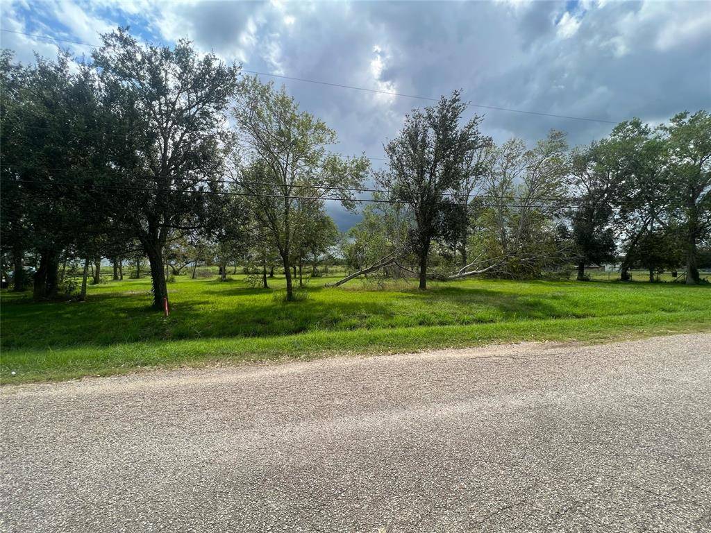 Manvel, TX 77578,7304 Reed LN