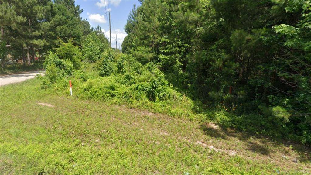 New Caney, TX 77357,19225 Kings ROW