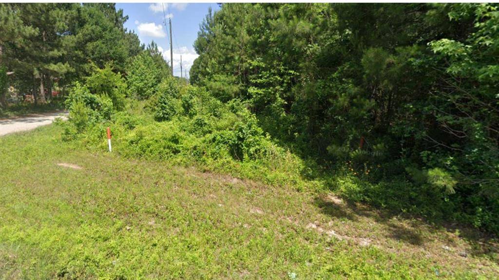 New Caney, TX 77357,19225 Kings ROW