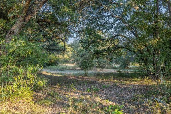 Round Top, TX 78954,TBD Drake Lane - Lot 25