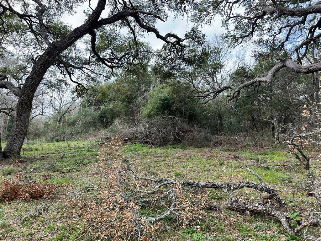 Hallettsville, TX 77964,00000 County Road 212