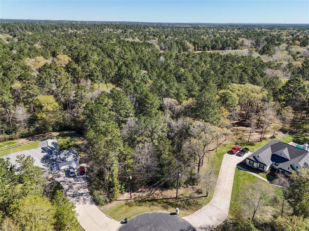 Waller, TX 77484,29920 Bareback LN