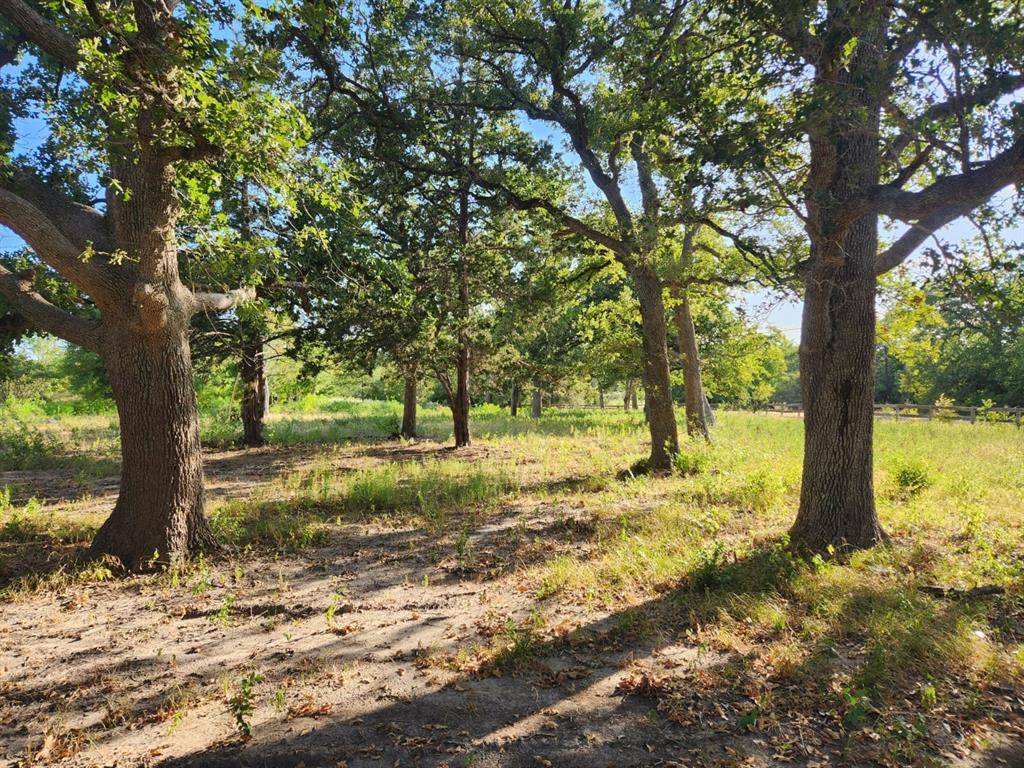 Caldwell, TX 77836,TBD Beaver Lake DR