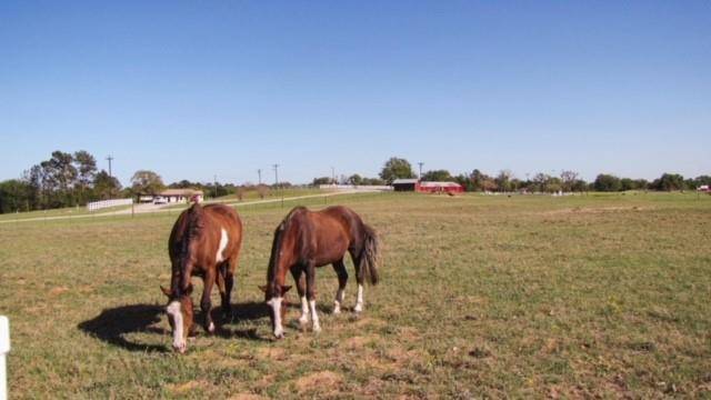 Hilltop Lakes, TX 77871,0000 Tara Shenandoah