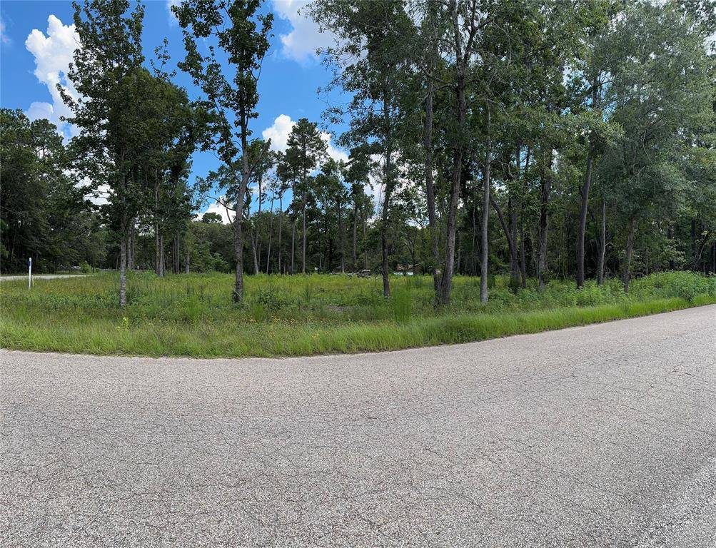 Conroe, TX 77302,11855 MAGNOLIA BEND DR